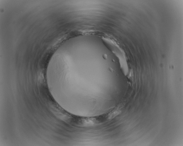 X0000076380618200610271529