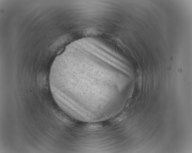 X0000076380619200610271529