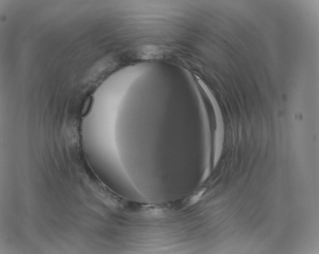 X0000076380620200610271529