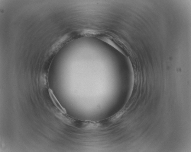 X0000076380621200610271529