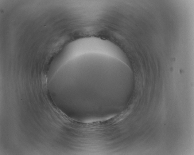 X0000076380624200610271529