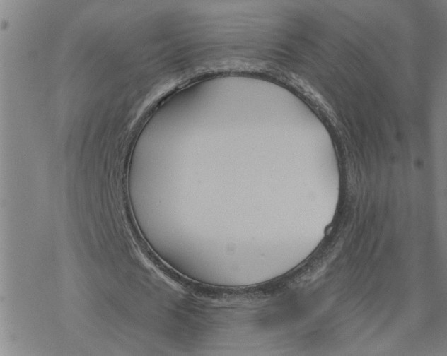 X0000076380625200610271529