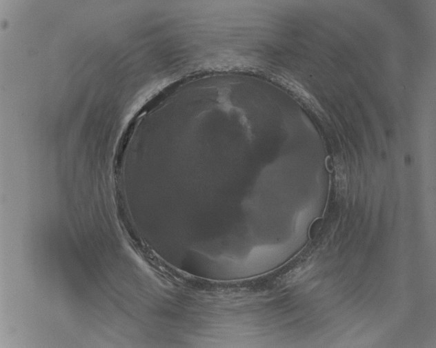 X0000076380626200610271529