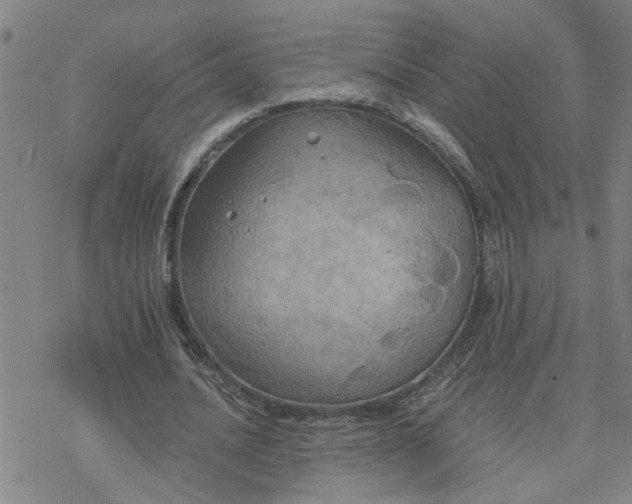 X0000076380628200610271529