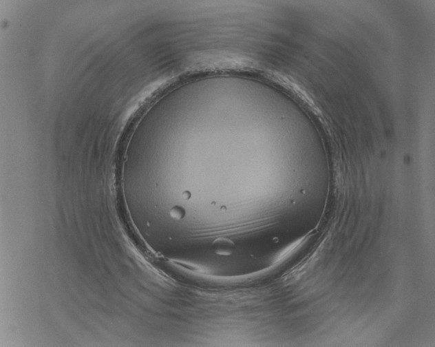 X0000076380629200610271529