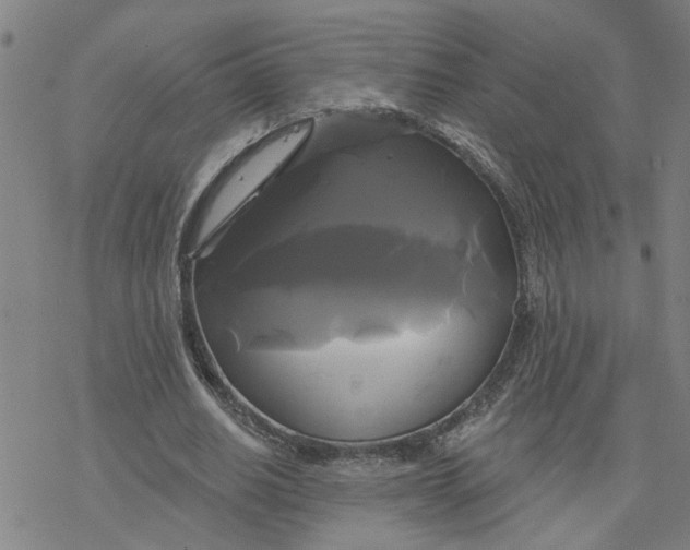 X0000076380630200610271529