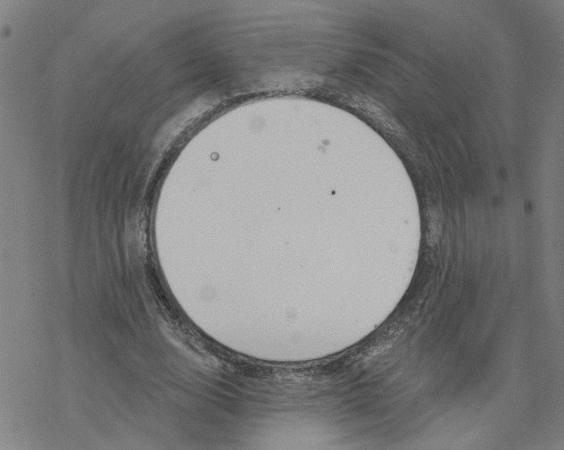 X0000076380632200610271529