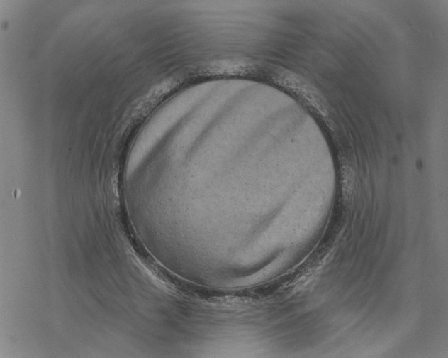 X0000076380633200610271529