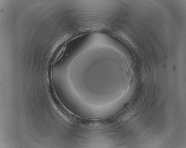 X0000076380634200610271529