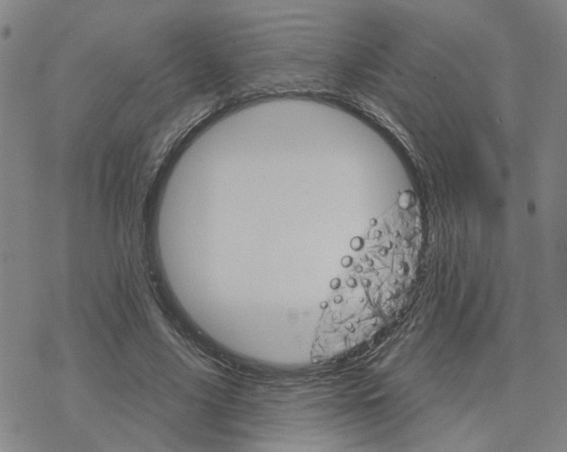 X0000076380635200610271529