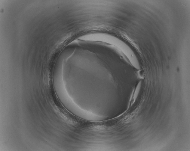 X0000076380637200610271529