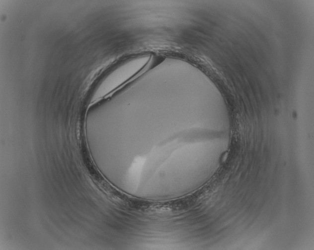 X0000076380640200610271529