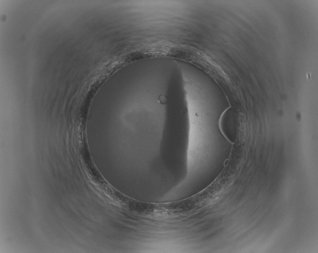 X0000076380641200610271529