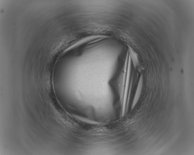 X0000076380642200610271529