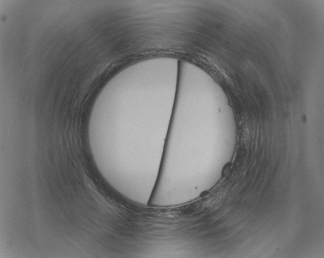 X0000076380643200610271529