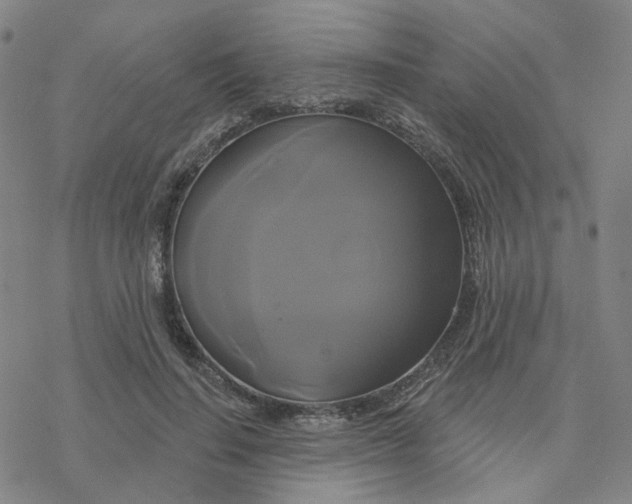 X0000076380644200610271529