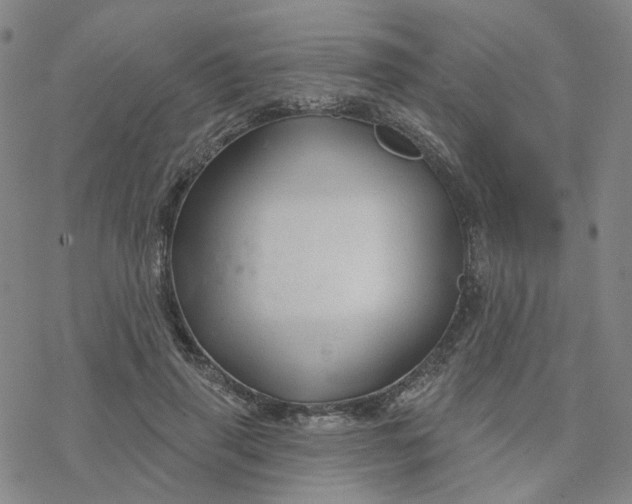 X0000076380645200610271529