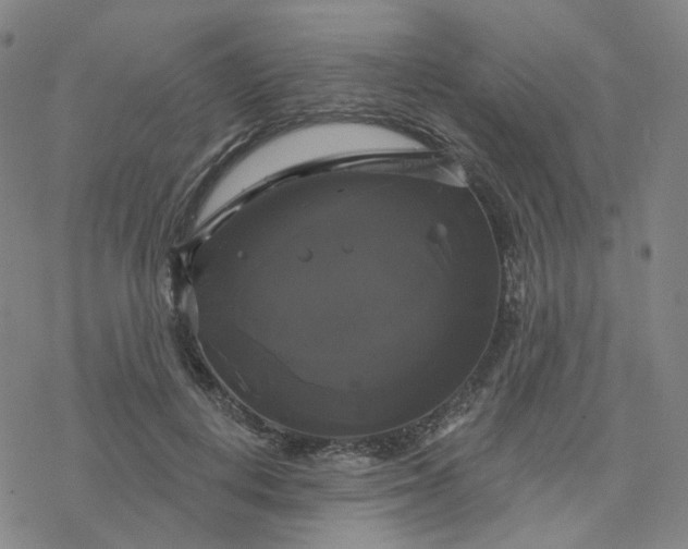 X0000076380648200610271529