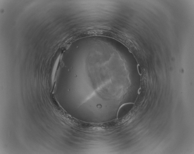 X0000076380649200610271529