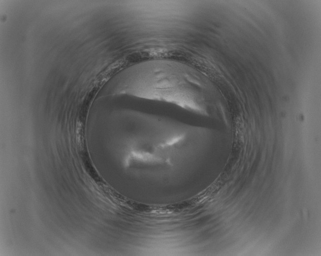 X0000076380650200610271529