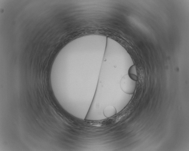 X0000076380651200610271529