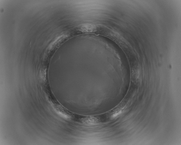 X0000076380652200610271529