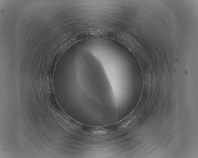 X0000076380653200610271529