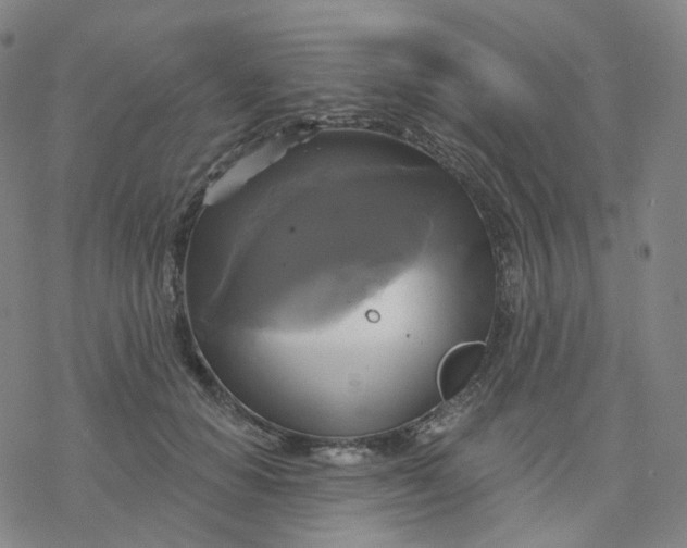 X0000076380654200610271529