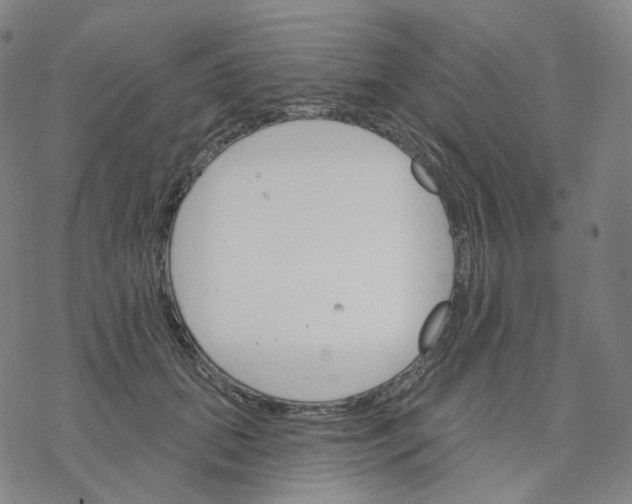 X0000076380655200610271529