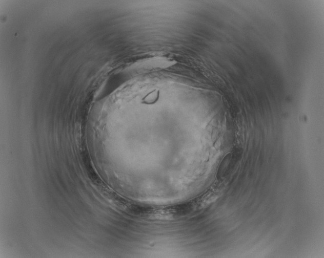 X0000076380656200610271529