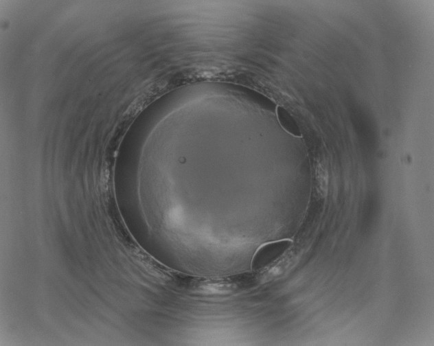 X0000076380657200610271529