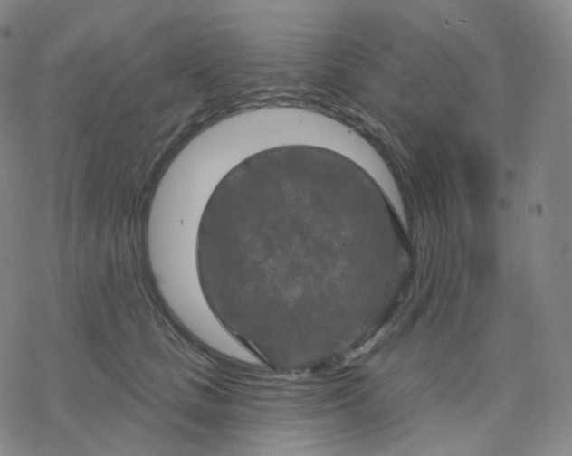 X0000076380661200610271529