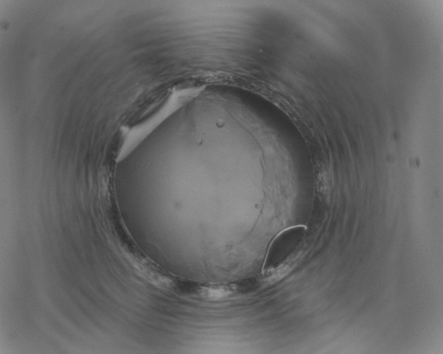 X0000076380662200610271529