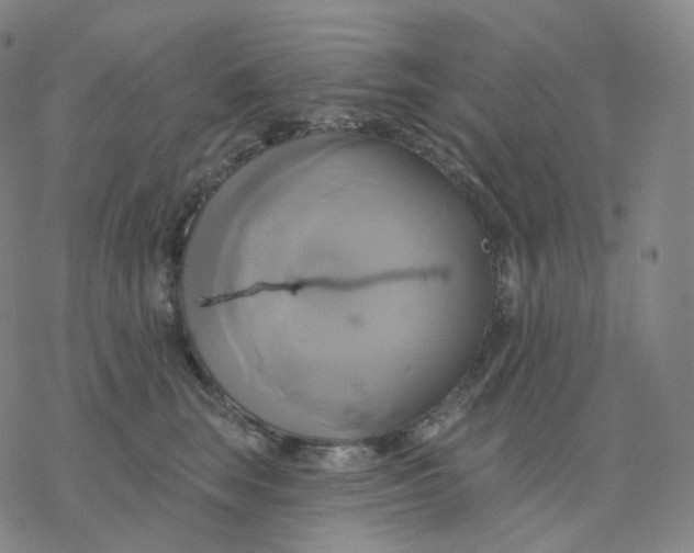 X0000076380663200610271529