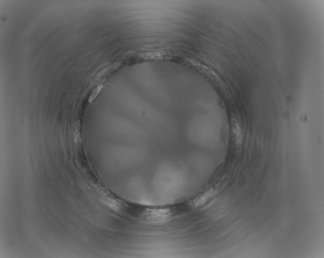 X0000076380665200610271529