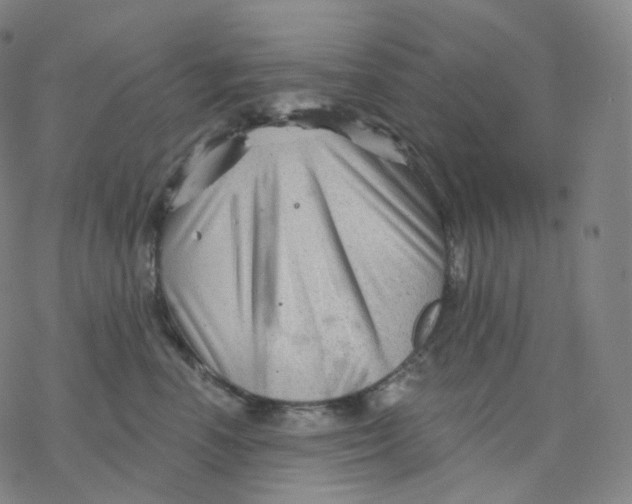 X0000076380666200610271529