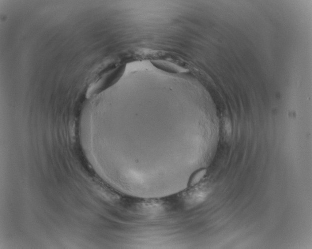 X0000076380668200610271529