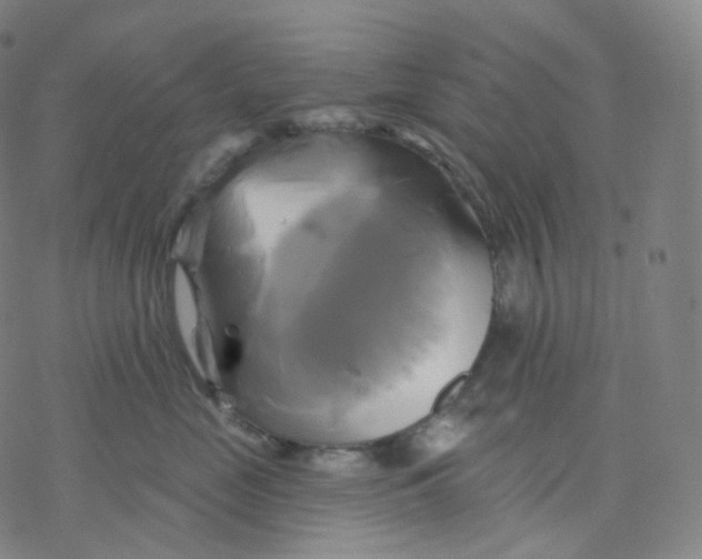 X0000076380669200610271529