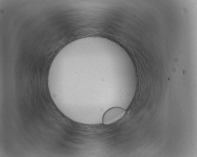 X0000076380672200610271529