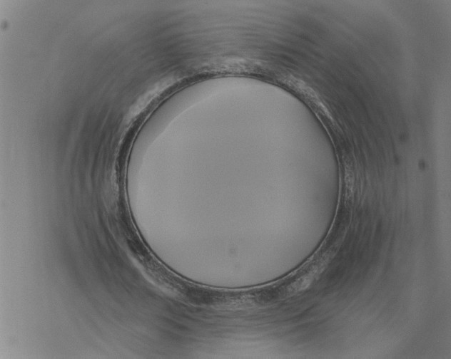 X0000076380674200610271529