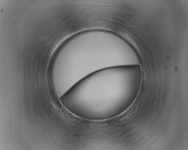 X0000076380676200610271529