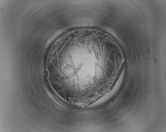 X0000076380677200610271528