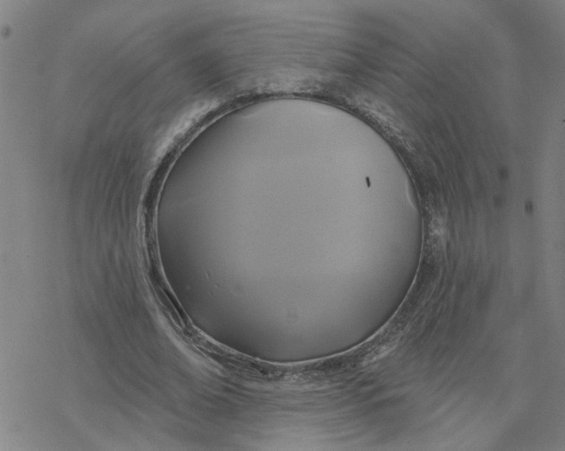 X0000076380678200610271528