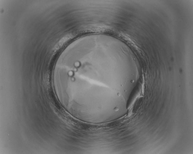 X0000076380679200610271528