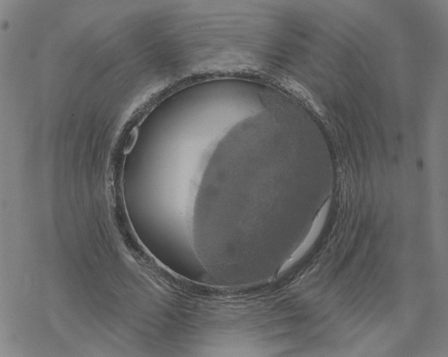 X0000076380680200610271528