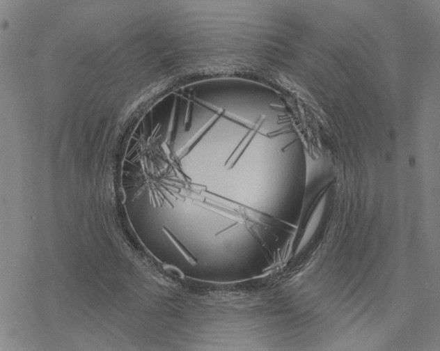 X0000076380681200610271528