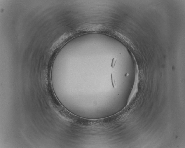 X0000076380682200610271528