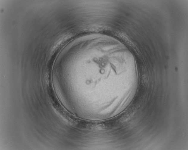 X0000076380683200610271528