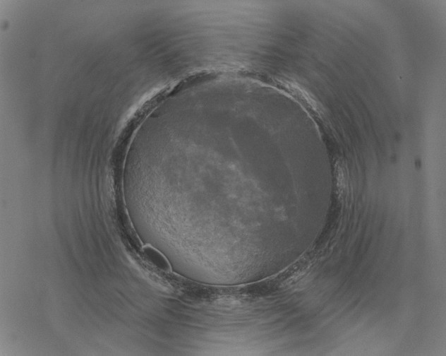 X0000076380684200610271528