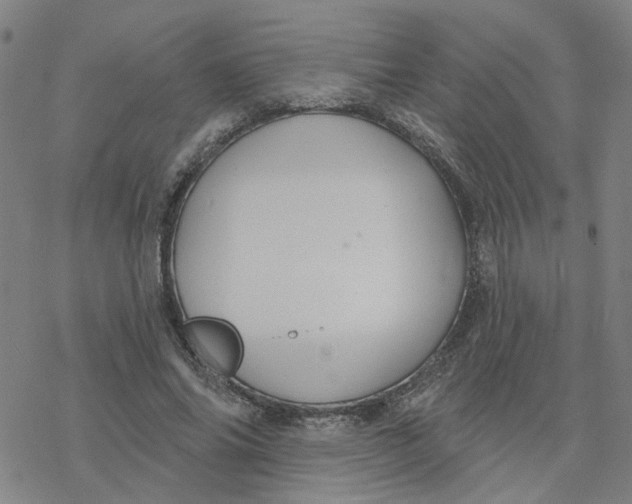 X0000076380686200610271528